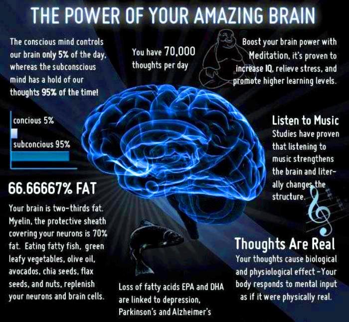 Power of the Brain 1