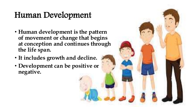 Human Development 1