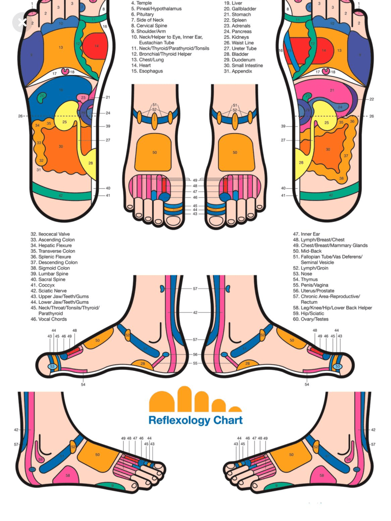Reflexology 1